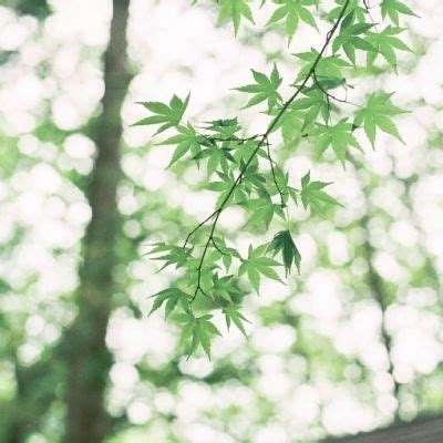 南宫体育app下载app下载