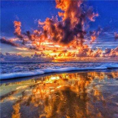 加拿大pc入口下载手机版